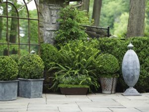 What Makes A Beautiful Garden That Aligns With Your Lifestyle?