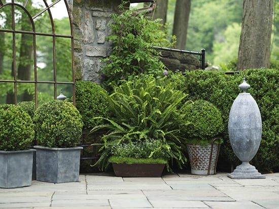 You are currently viewing What Makes A Beautiful Garden That Aligns With Your Lifestyle?