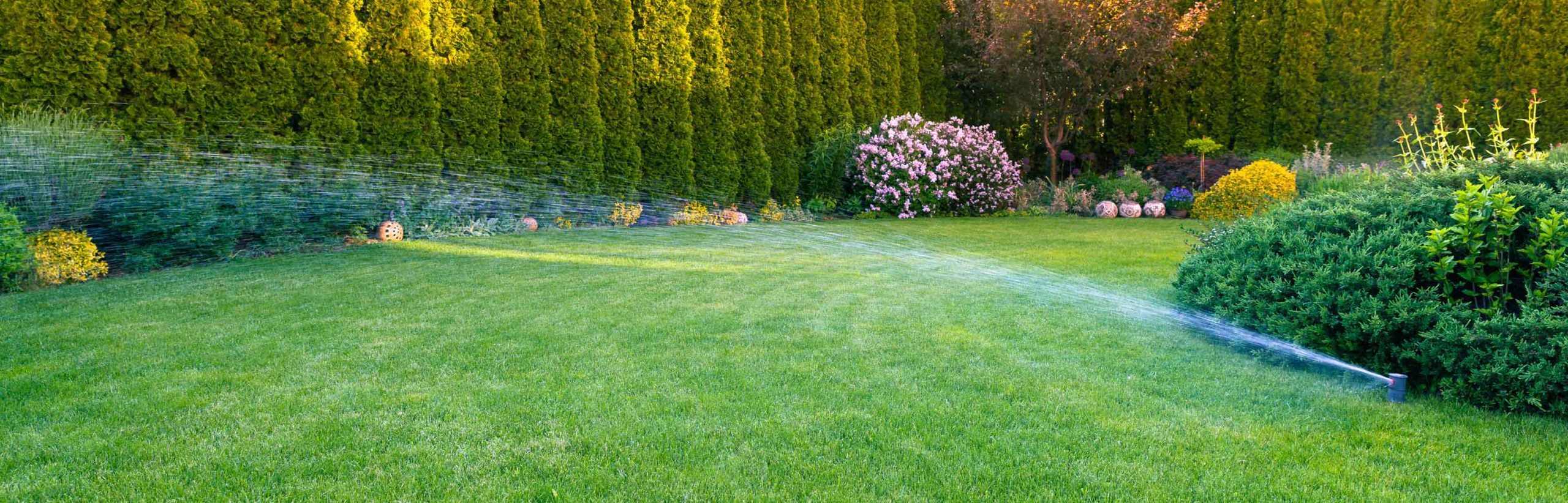 Three Top Reasons to Choose Organic Lawn and Plant Care