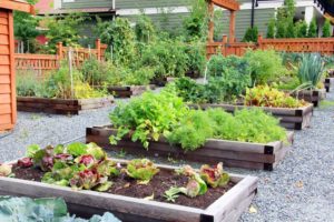 Sow it, Grow it, Show it: A Personalized Vegetable Garden for Every Property