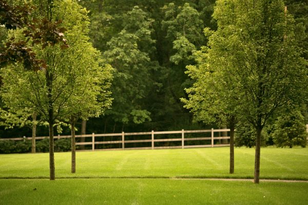 Estate_Care_OBrien_Allee_-_Edited (1)