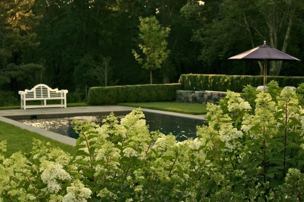Estate_Care_Slides_OBrien_Pool_Hydrangeas_-_Edited (1)
