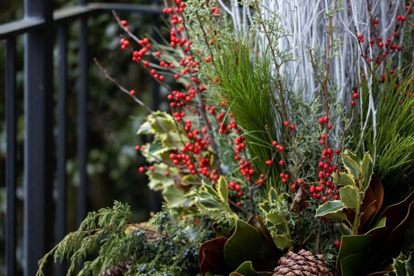 Glengate_Holiday_2023_170