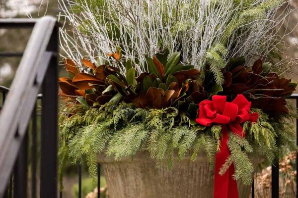 Glengate_Holiday_2023_176