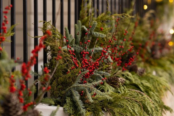 Glengate_Holiday_2023_209