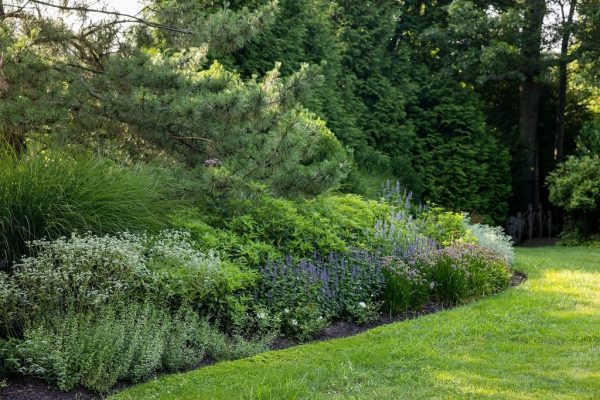 Glengate_Tyson_2023_42_1_2